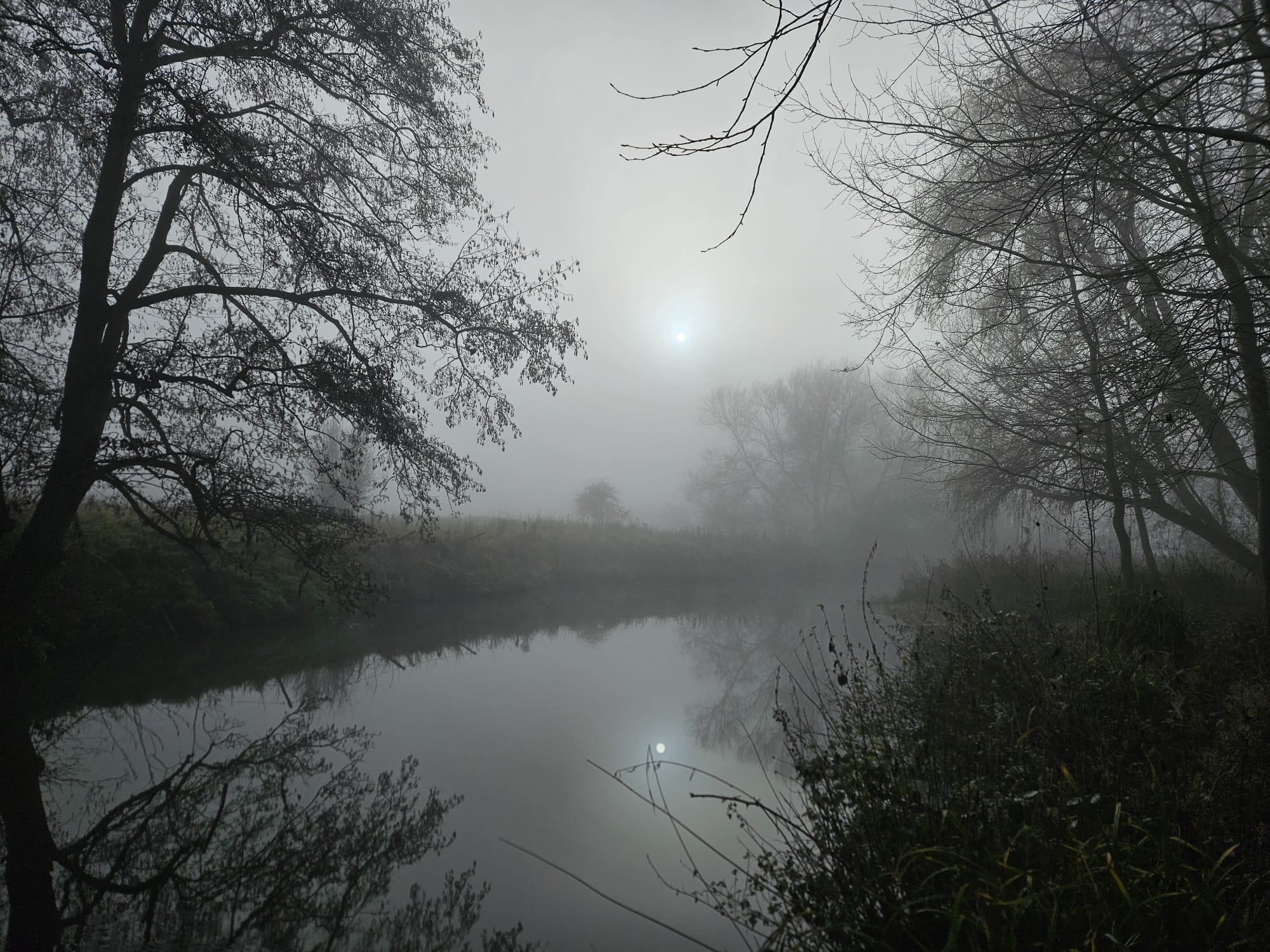 Misty Winter scene at Amwell Magna Fishery
